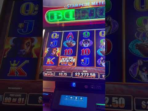 Giocare al Casinò Online a Buffalo: La Guida Definitiva per i Giocatori Italiani