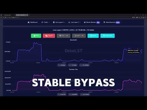 Discover the Top Web Stressers in the USA: English Language Services