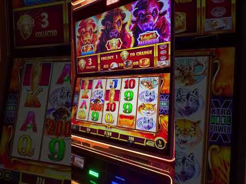 Giocare al Casinò Online a Buffalo: La Guida Definitiva per i Giocatori Italiani