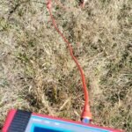 Imagen de WhatsApp 2025-07-17 a las 20.39.45_4e2292d1